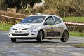 Monaghan_Rally_April_21st_2013 (104)